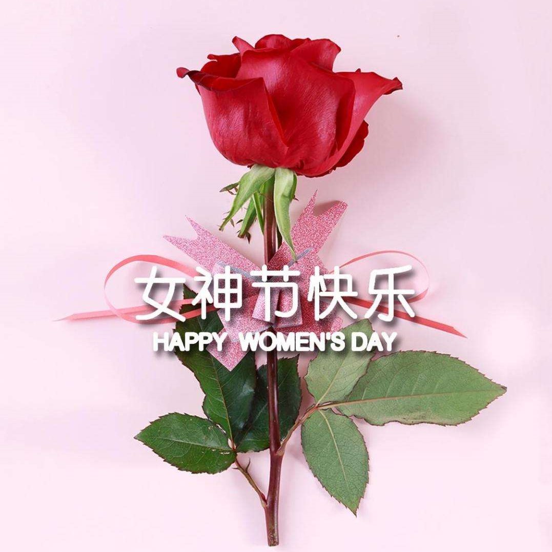 女神節(jié)特輯丨以醫(yī)療力量，筑女性健康